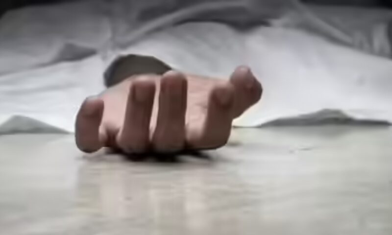 വീണ്ടും പാമ്പുകടിയേറ്റ് മരണം; കണ്ണൂരിൽ 65കാരി മരിച്ചു
