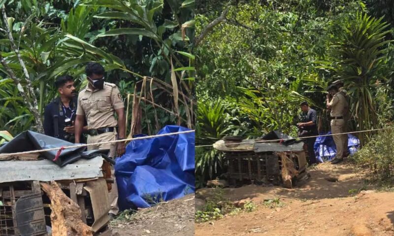 നെടുങ്കണ്ടത്ത് അമ്മയെയും മകനെയും കൊന്ന് കുഴിച്ചുമൂടി; ഇളയ മകൻ ഒളിവിൽ