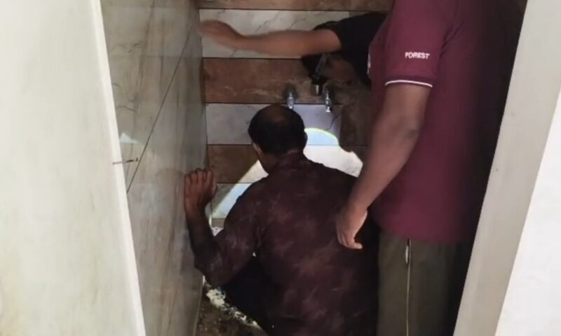 പാമ്പുകളെ കണ്ടെത്താനായില്ല; ആൽജോയുടെ വീട്ടിൽ ശുചിമുറിയുടെ തറ പൊളിച്ചുള്ള പരിശോധന അവസാനിപ്പിച്ചു