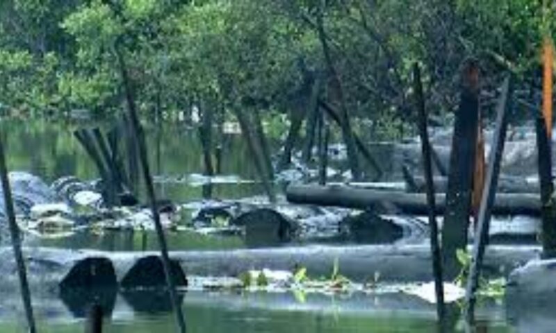 കല്ലായിപ്പുഴ നവീകരണം ഇഴയുന്നു; പ്രവൃത്തി അശാസ്ത്രീയമെന്ന് പരാതി