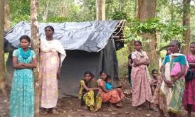 മരിയനാട് സമരഭൂമിയിലെ ഗോത്രവിഭാഗക്കാരുടെ പ്രശ്നങ്ങൾക്ക് പരിഹാരമാകുന്നു
