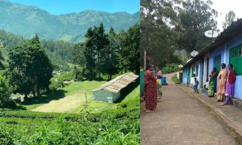 മൂന്നാറിൽ കുടിയിറക്കൽ ഭീഷണിയിൽ തോട്ടം തൊഴിലാളികൾ; വിഷയത്തിൽ ഇടപെട്ട് തൊഴിൽവകുപ്പ് മന്ത്രി ബിന്ദു കൃഷ്ണ