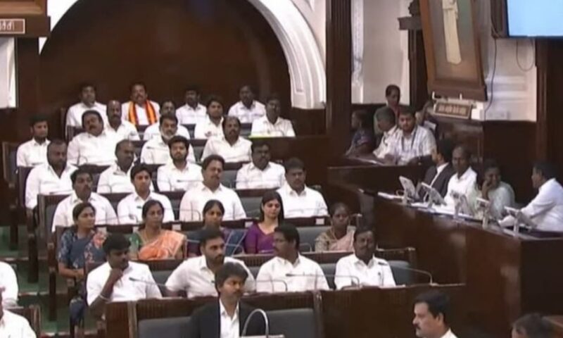 തമിഴ്‌നാട് നിയമസഭയിൽ കരുത്തറിയിച്ച് വിജയ്; വിശ്വാസ വോട്ടെടുപ്പിൽ തകർപ്പൻ വിജയം