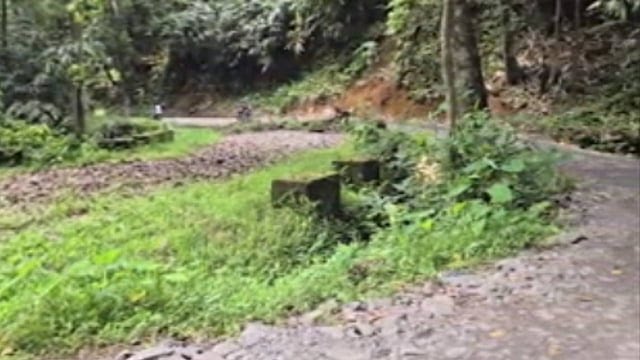 കുമ്മാട്ടി പാലത്തിലൂടെയുള്ള ഗതാഗതം നിരോധിച്ചതോടെ പ്രതിസന്ധിയിലായി വിനോദ സഞ്ചാരികളും പ്രദേശവാസികളും
