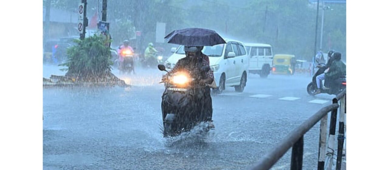 മഴ കനക്കും; 8 ജില്ലകളിൽ മഴ മുന്നറിയിപ്പ്,പാലക്കാട് ശക്തമായ മഴ തുടരുന്നു