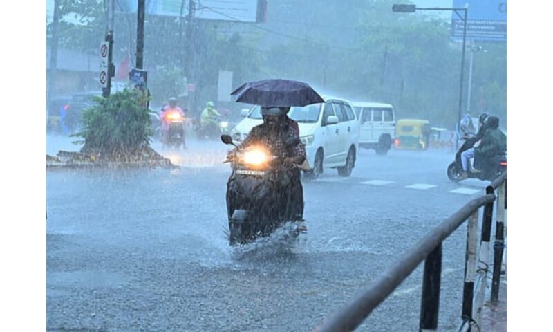 സംസ്ഥാനത്ത് തീവ്രമഴ;ഇടുക്കിയിൽ രാത്രിയാത്രയ്ക്ക് വിലക്ക്
