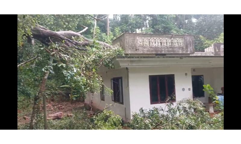 സംസ്ഥാനത്ത് കനത്ത മഴ;തൃശൂരിലും മലപ്പുറത്തും വ്യാപക നാശനഷ്ടം