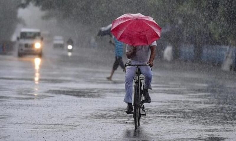 സംസ്ഥാനത്ത് ഇന്ന് ശക്തമായ മഴയ്ക്ക് സാധ്യത;പതിനാല് ജില്ലകളിലും മുന്നറിയിപ്പ്