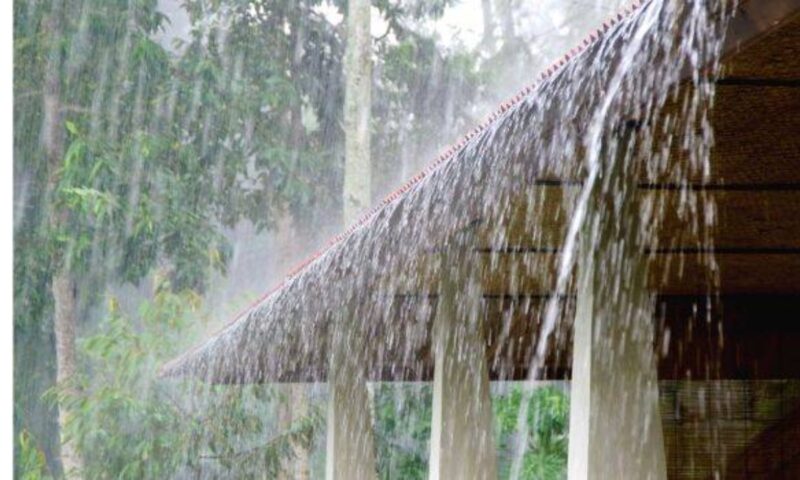 കേരളത്തിൽ ജൂലൈ നാല് വരെ ശക്തമായ മഴയ്ക്ക് സാധ്യത;ഇന്ന് 12 ജില്ലകളിൽ മഴ മുന്നറിയിപ്പ്