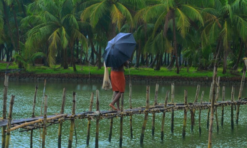 സംസ്ഥാനത്ത് കാലവർഷം ദുർബലമാകുന്നു;ഇന്ന് മുതൽ ഒരു ജില്ലയിലും മഴ മുന്നറിയിപ്പ് ഇല്ല