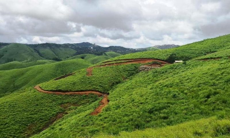 വാഗമൺ കയ്യേറ്റം:മൊട്ടക്കുന്നിൽ റവന്യു സംഘം പരിശോധന നടത്തി;നടപടി വരാട്ടുമേട്ടിലെ കയ്യേറ്റം ഒഴിപ്പിക്കലിന് പിന്നാലെ