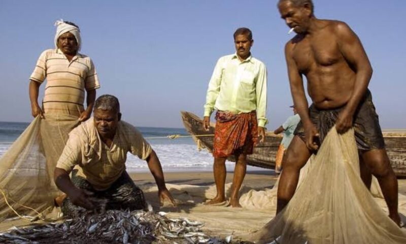 മത്സ്യത്തൊഴിലാളികളുടെ അപകടങ്ങളിൽ അടിയന്തര നടപടികളുമായി സർക്കാർ