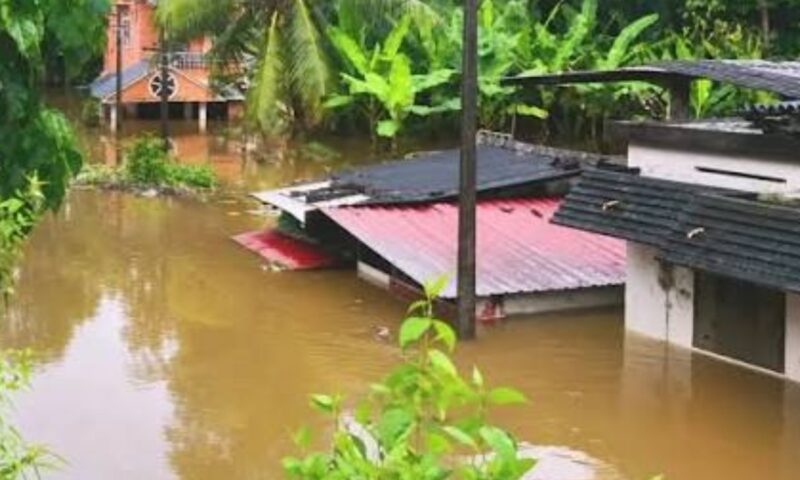 മഴ ശമിച്ചെങ്കിലും കുട്ടനാട്ടിൽ വെള്ളക്കെട്ട് രൂക്ഷം;നിരവധി വീടുകളിൽ വെള്ളം കയറി