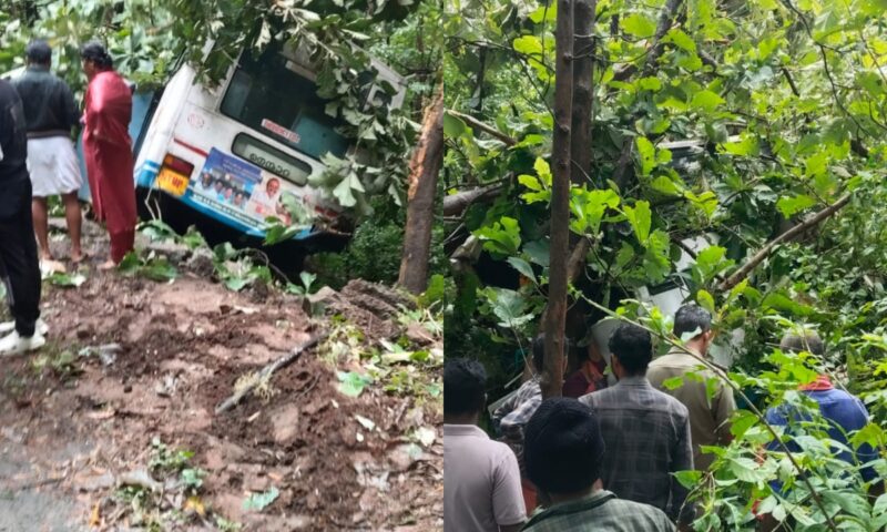 നെല്ലിയാമ്പതി ചുരത്തിൽ കെഎസ്ആർടിസി ബസ് മറിഞ്ഞു; ഒരു മരണം, 50ലധികം പേർക്ക് പരിക്ക്